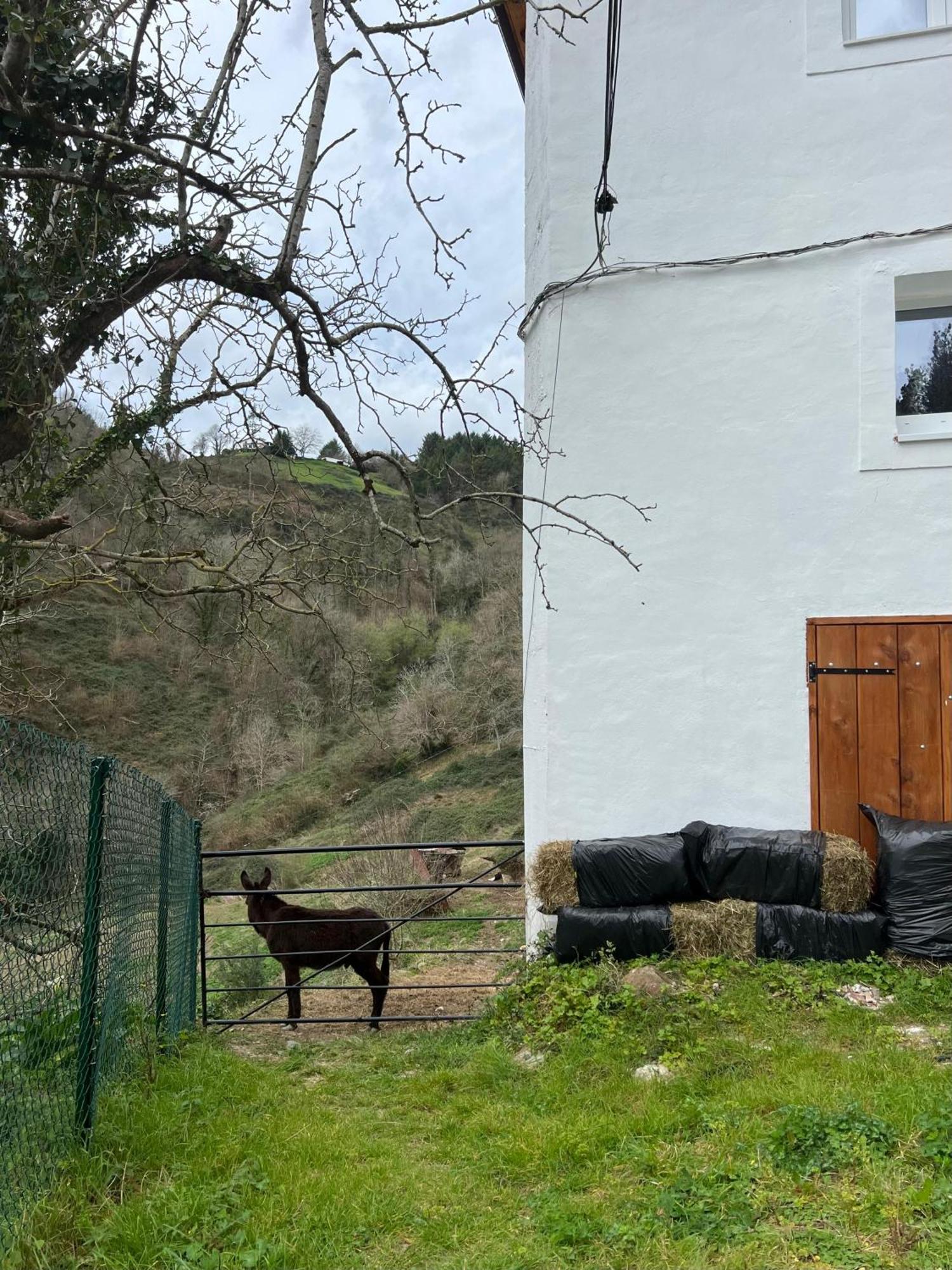Fantastico Retiro Rural En El Corazon De Euskadi Apartment เอลกอยบาร์ ภายนอก รูปภาพ